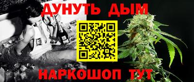 дмт Кингисепп