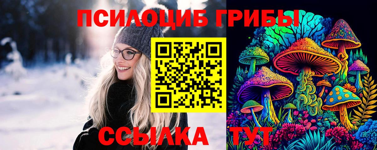 Галлюциногенные грибы Psilocybine cubensis  Псилоцибиновые грибы Psilocybe  Вход с VPN  Красногорск 