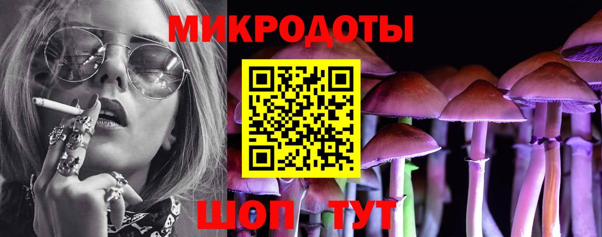 Псилоцибиновые грибы Psilocybine cubensis Красногорск
